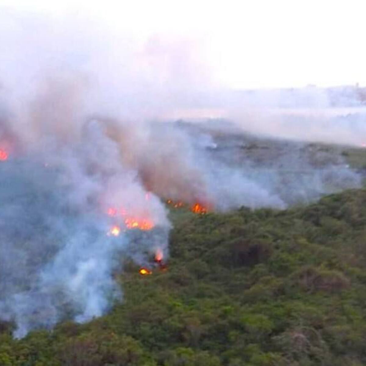 En un 80% ha sido controlado el incendio en el parque isla Salamanca