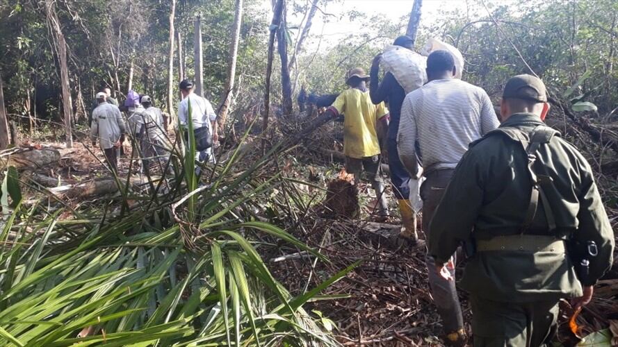 Capturan a siete personas por tala de mangles en Buenaventura. Foto: Policía Valle
