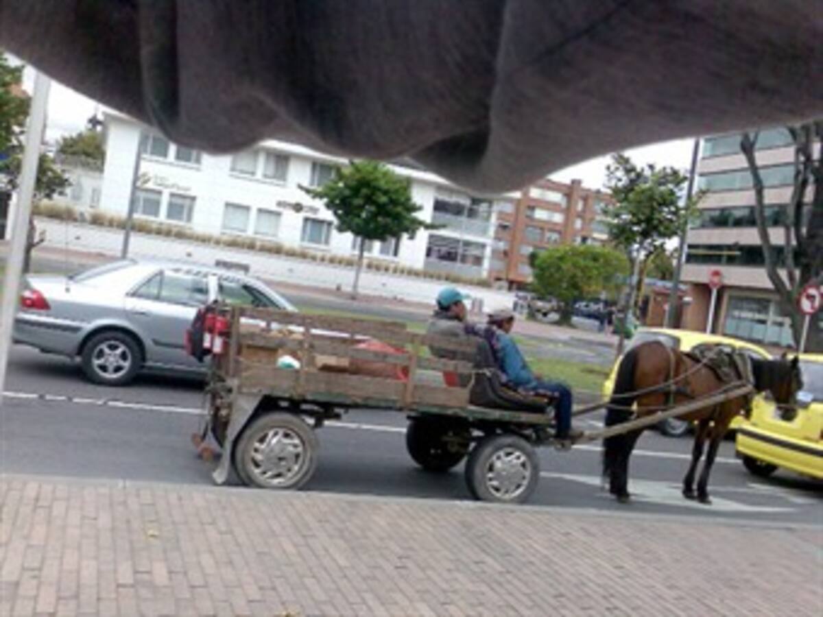 Recicladores esperan no ser excluidos en licitación para la recolección de basuras en Bogotá