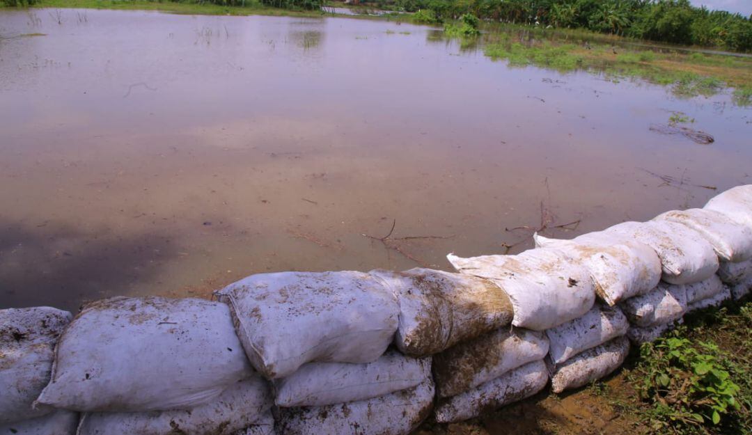 Labores de mitigación ante filtraciones al sur del Atlántico