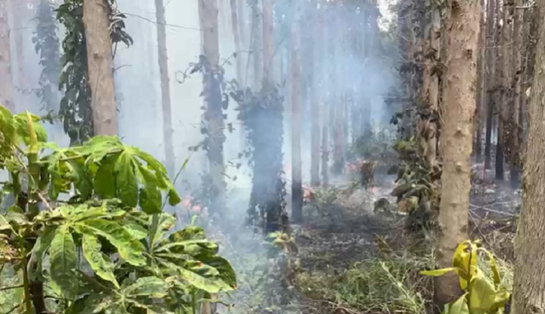 Disturbios en Cajibío, Cauca