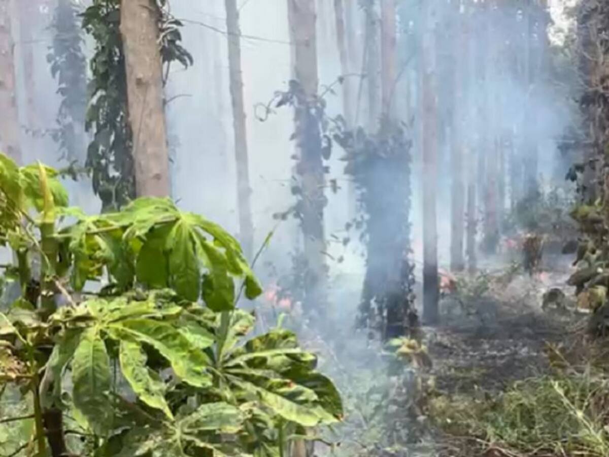 Disturbios dejaron una persona herida en zona rural de Cajibío, Cauca