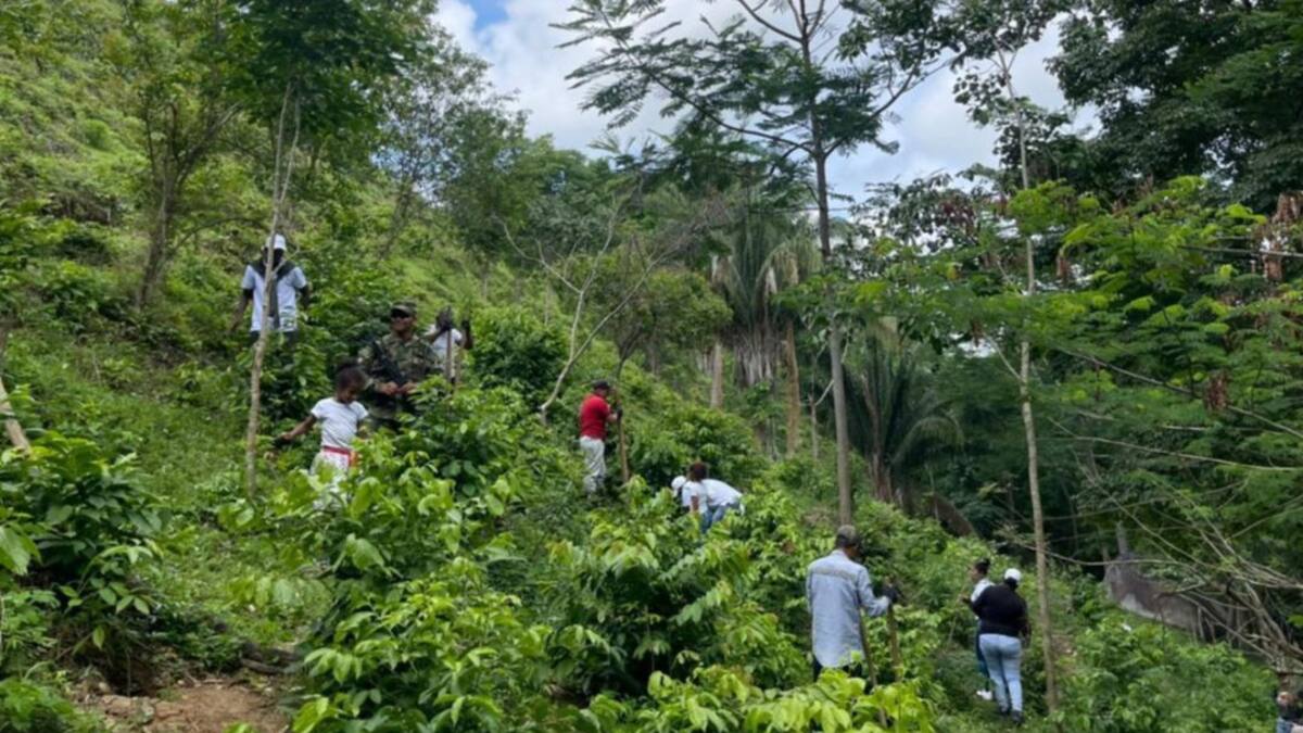 Desvertebrar y judicializar a las bandas que le roban comidas a campesinos