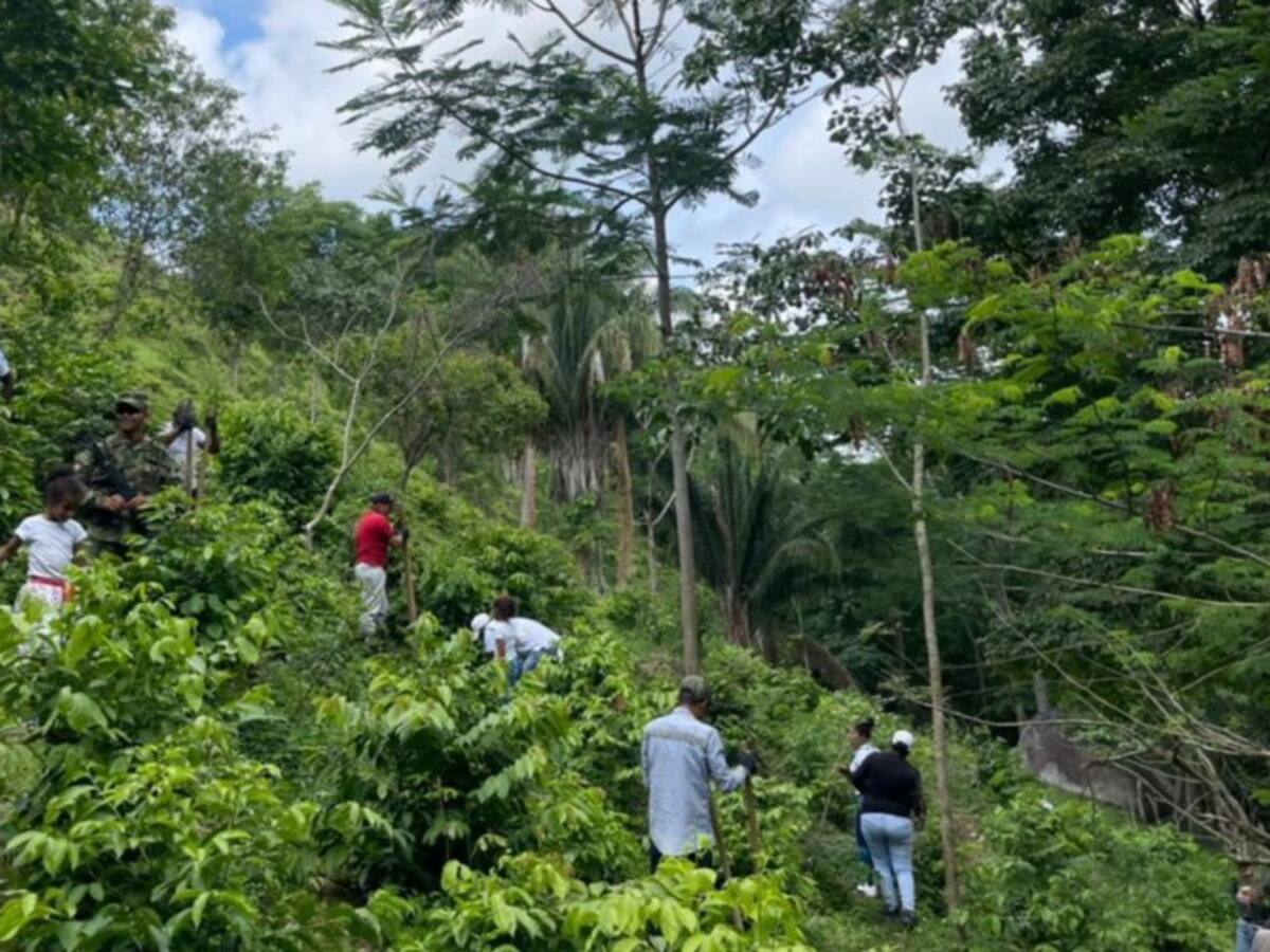 Desvertebrar y judicializar a las bandas que le roban comidas a campesinos
