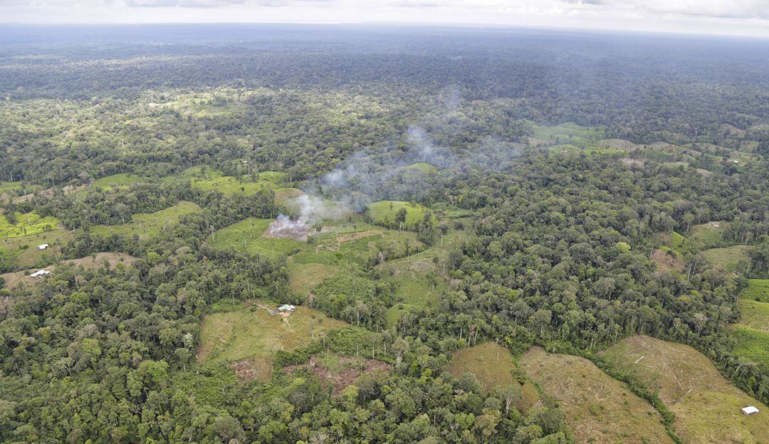 Erradicación de cultivos ilícitos en Tumaco, Nariño.