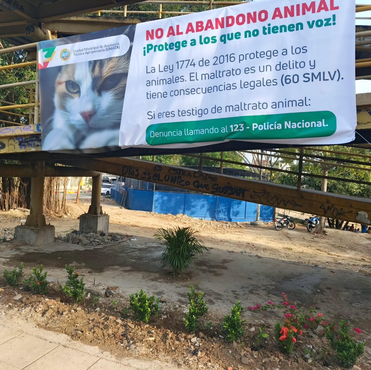 Alcaldía de Cartagena