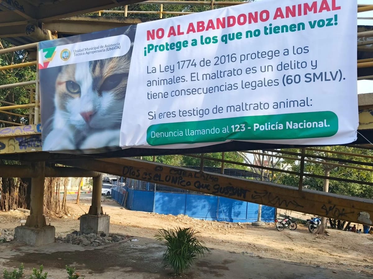 Iniciaron labores de embellecimiento en el puente de Los Caracoles: vecinos celebran la decisión