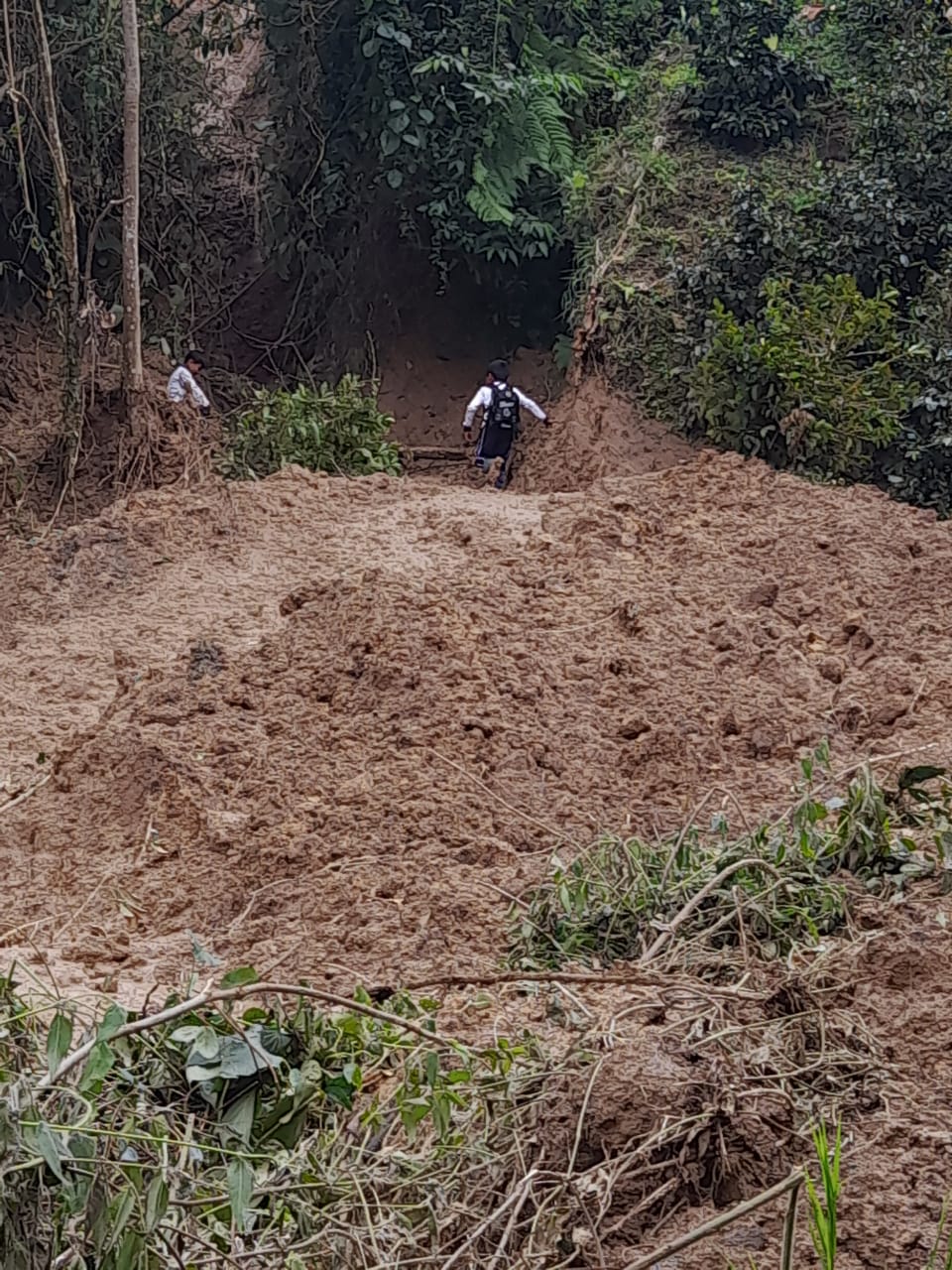 Deslizamientos afectan vías del municipio de Rovira, Tolima.