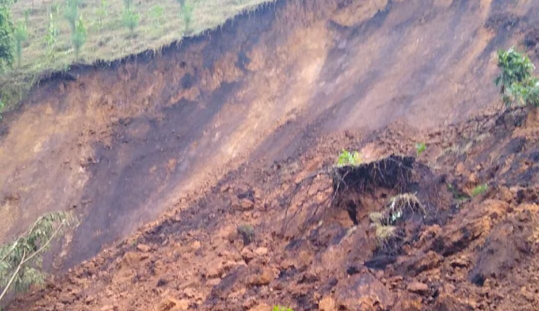 Foto: Secretaría de Medio Ambiente de Caldas.