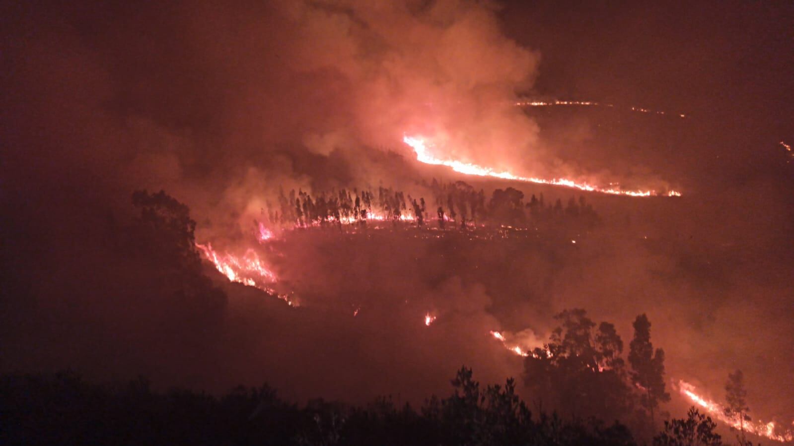 En la vereda Modeca del municipio de Corrales se presentó el incendio forestal que duró una semana / Foto: Suministrada.