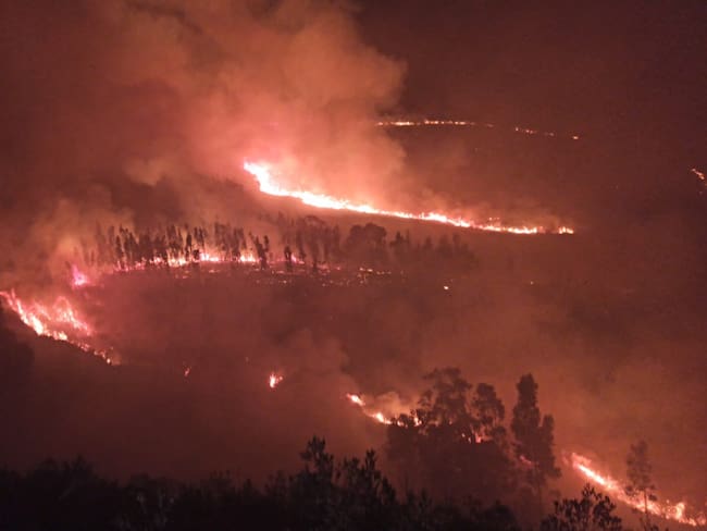 En la vereda Modeca del municipio de Corrales se presentó el incendio forestal que duró una semana / Foto: Suministrada.