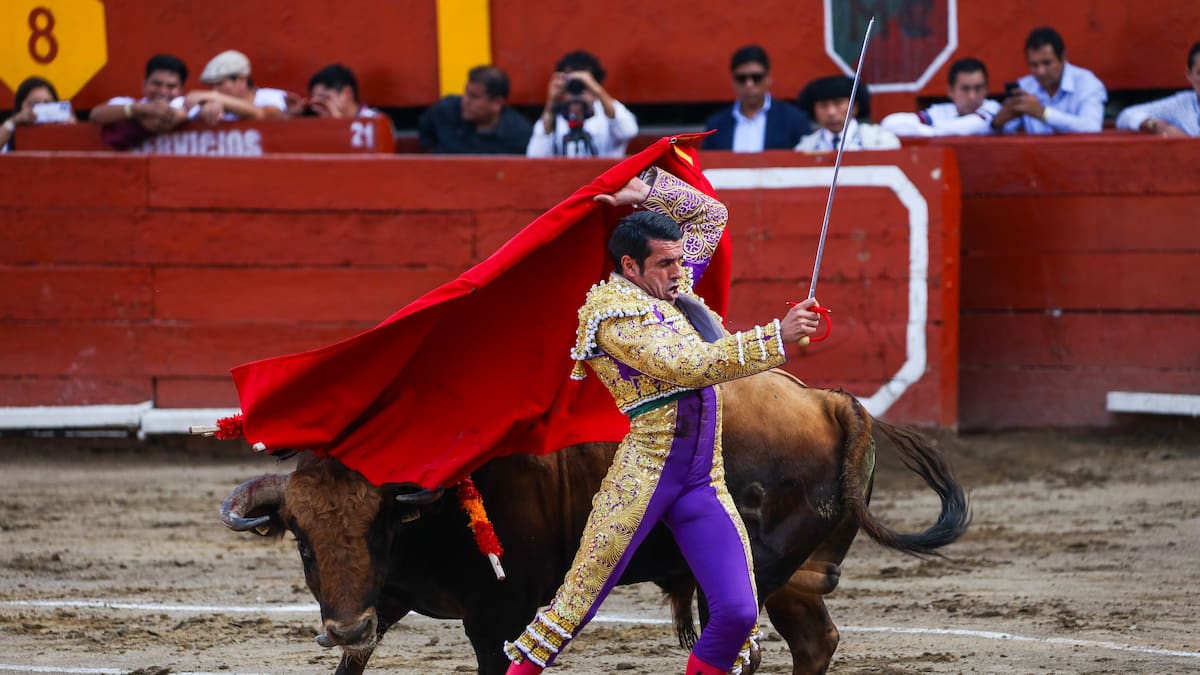 Continua show taurino en Manizales, Corte no toma decisión de fondo