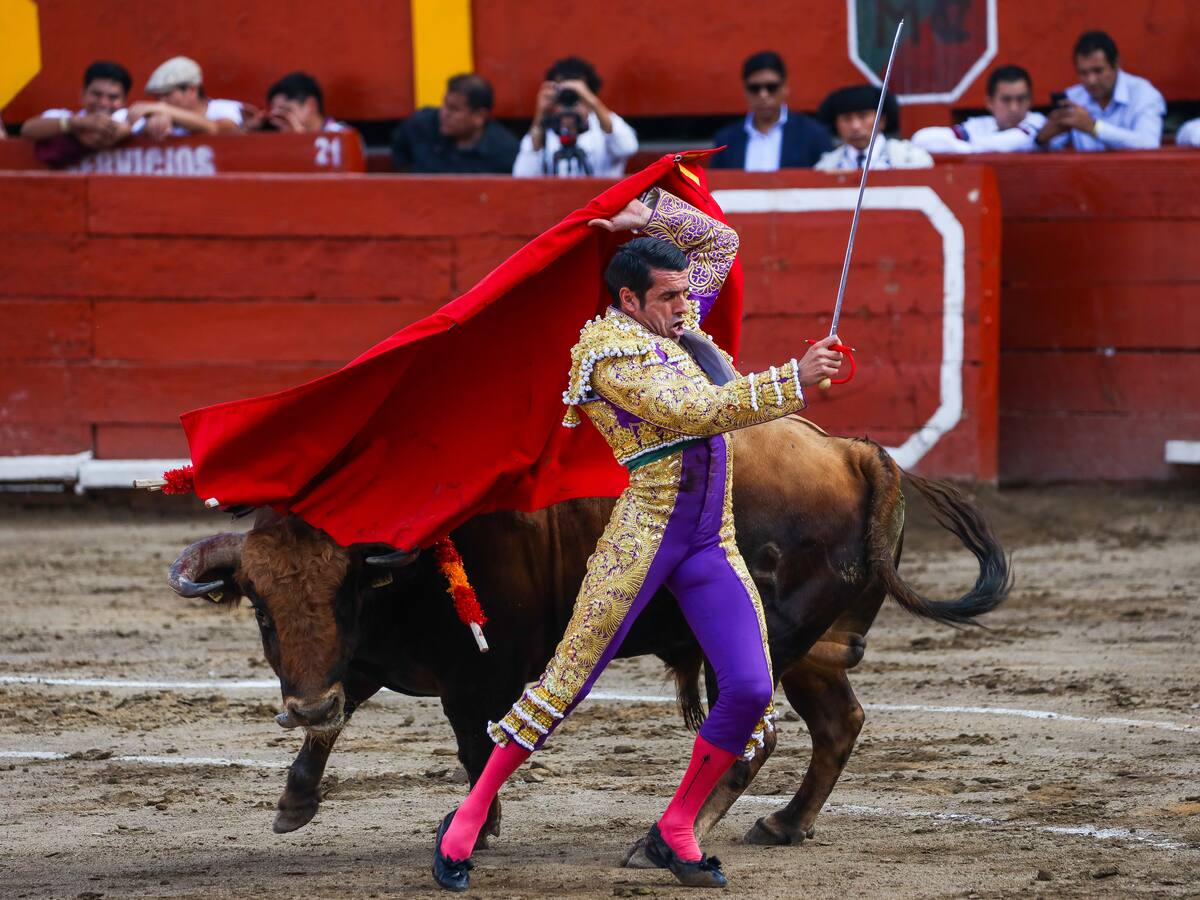 Continua show taurino en Manizales, Corte no toma decisión de fondo