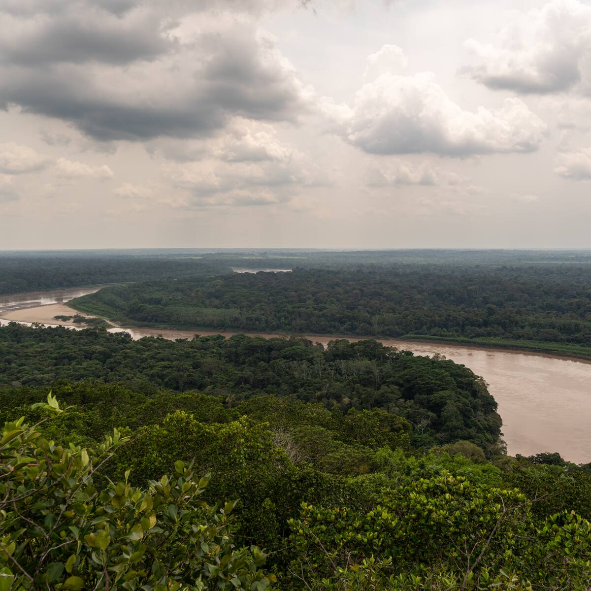 La Defensoría exige al Estado colombiano acatar las alertas que advierten riesgo por grupos armados