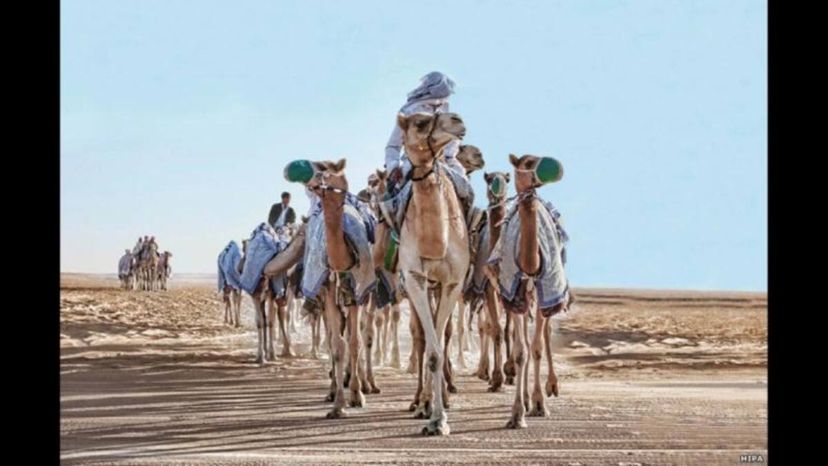 Su alteza el Jeque Hamdan Bin Mohammed Bin Rashid Al Maktoum, príncipe heredero de Dubai, estableció este premio en 2011, abierto a fotógrafos profesionales y aficionados con talento. Esta imagen fue tomada por Mansour Al Manaei en los Emiratos Árabes Unidos.