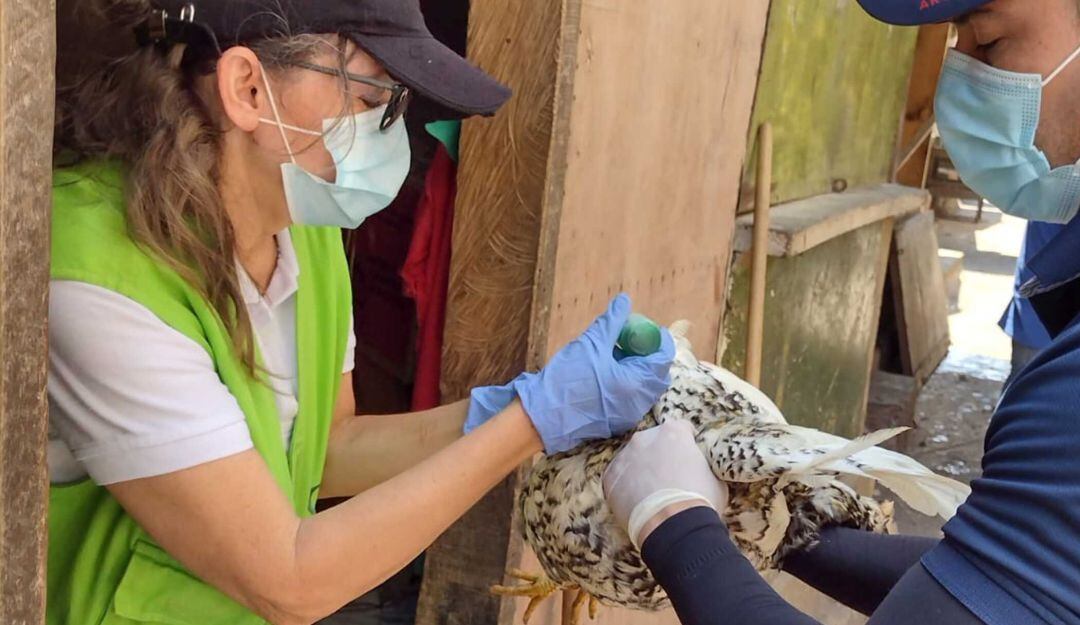 Jornada de vacunación