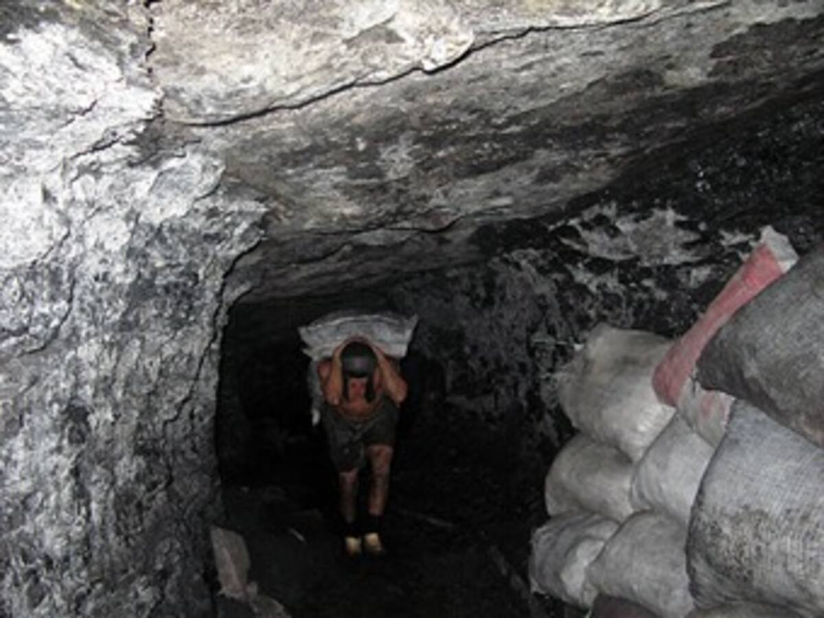 Estudio acerca de la minería vs biodiversidad