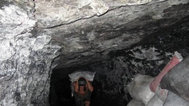 Estudio acerca de la minería vs biodiversidad