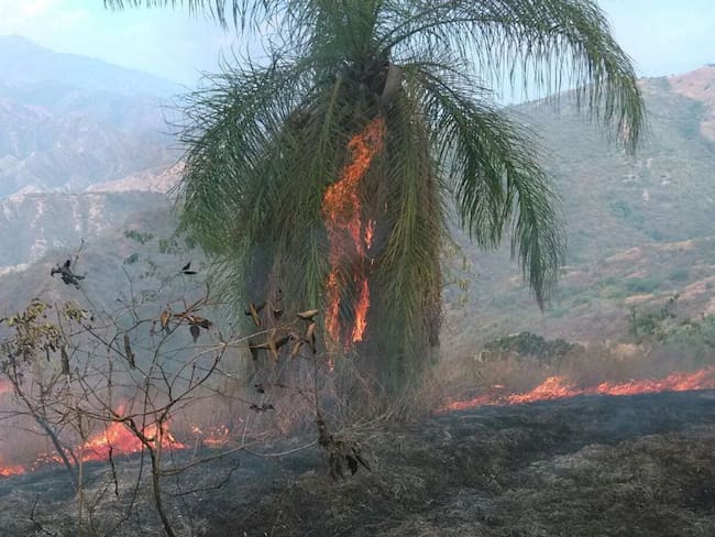 Siete municipios antioqueños en alerta roja por posibilidad de incendios