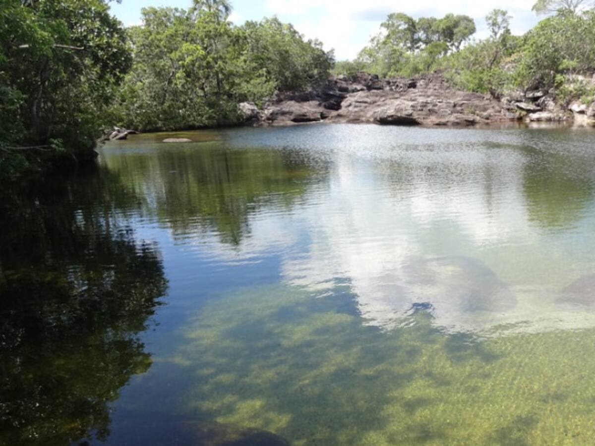 Hay preocupación en parques naturales por exploración petrolera en La Macarena