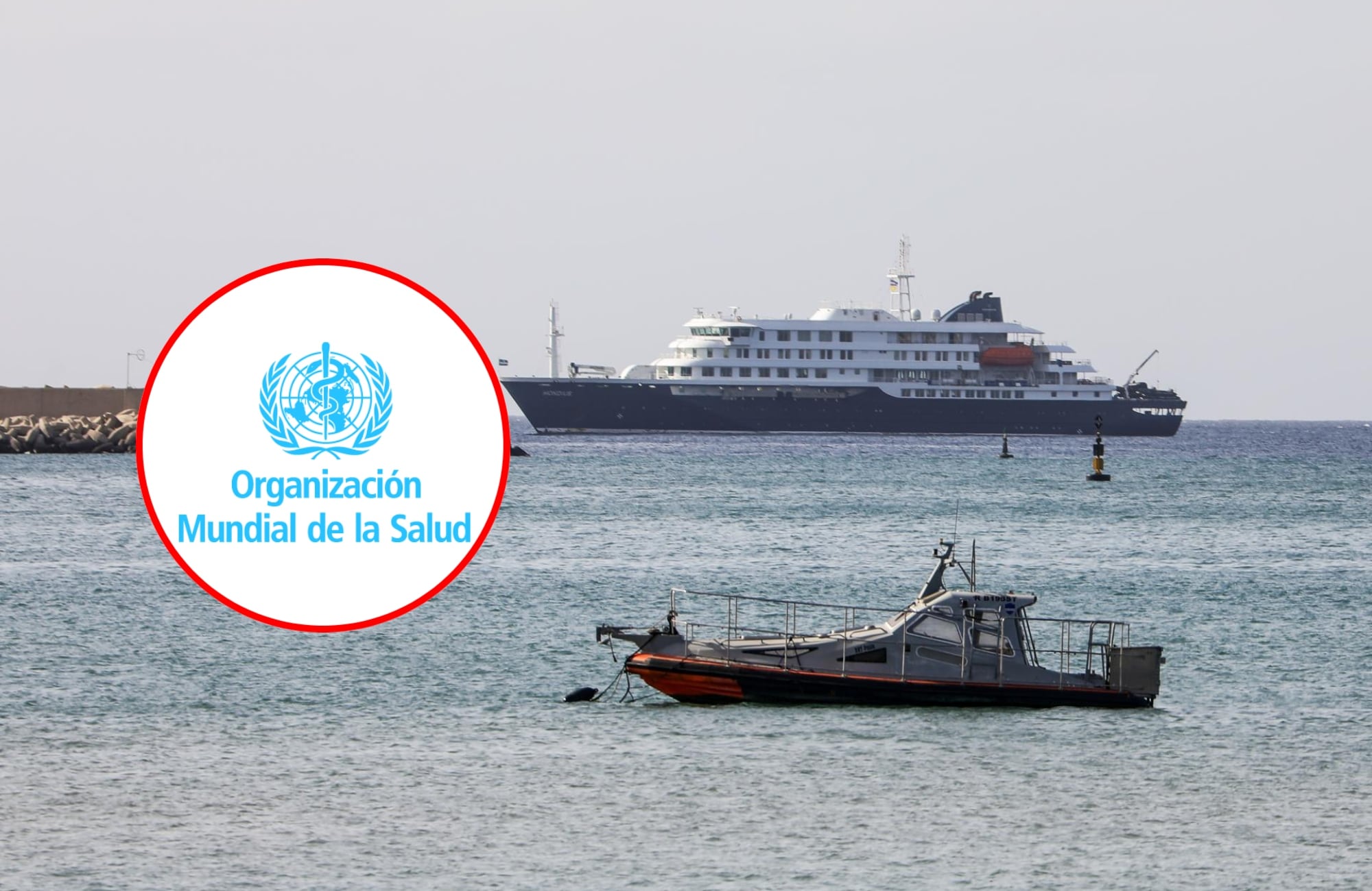El brote de hantavirus en un crucero no es una amenaza para la población general, dice OMS. Foto: EFE.