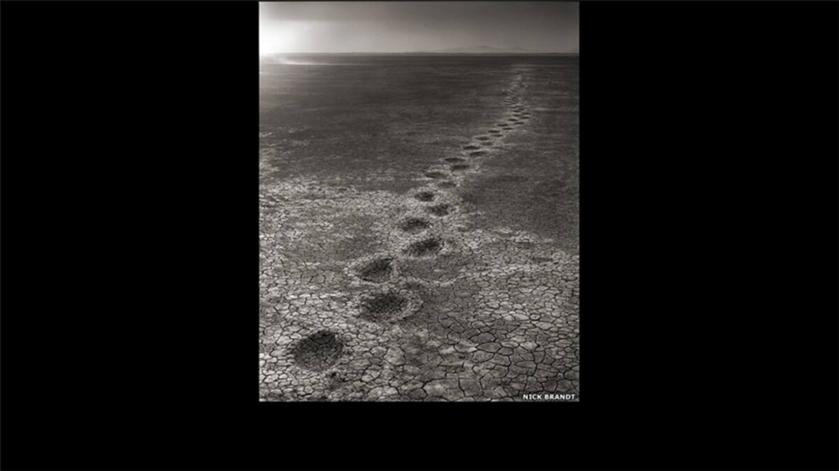 La muestra "Viaje por la tierra devastada" es la culminación de diez años de trabajo y sigue a otras dos series ya exhibidas: "En esta tierra" y "Cae una sombra". En esta imagen, dos elefantes en el Parque Nacional Amboseli, en Kenia.