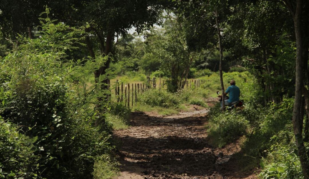 Al proyecto le queda un debate en la Plenaria del Senado