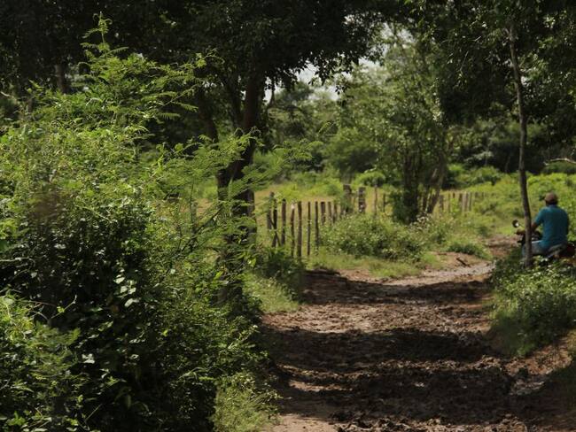 Al proyecto le queda un debate en la Plenaria del Senado
