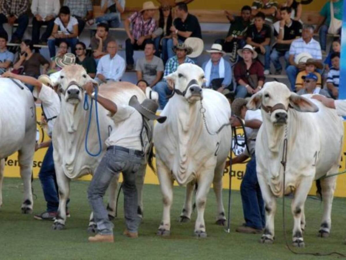 Vuelven las ferias a Santander