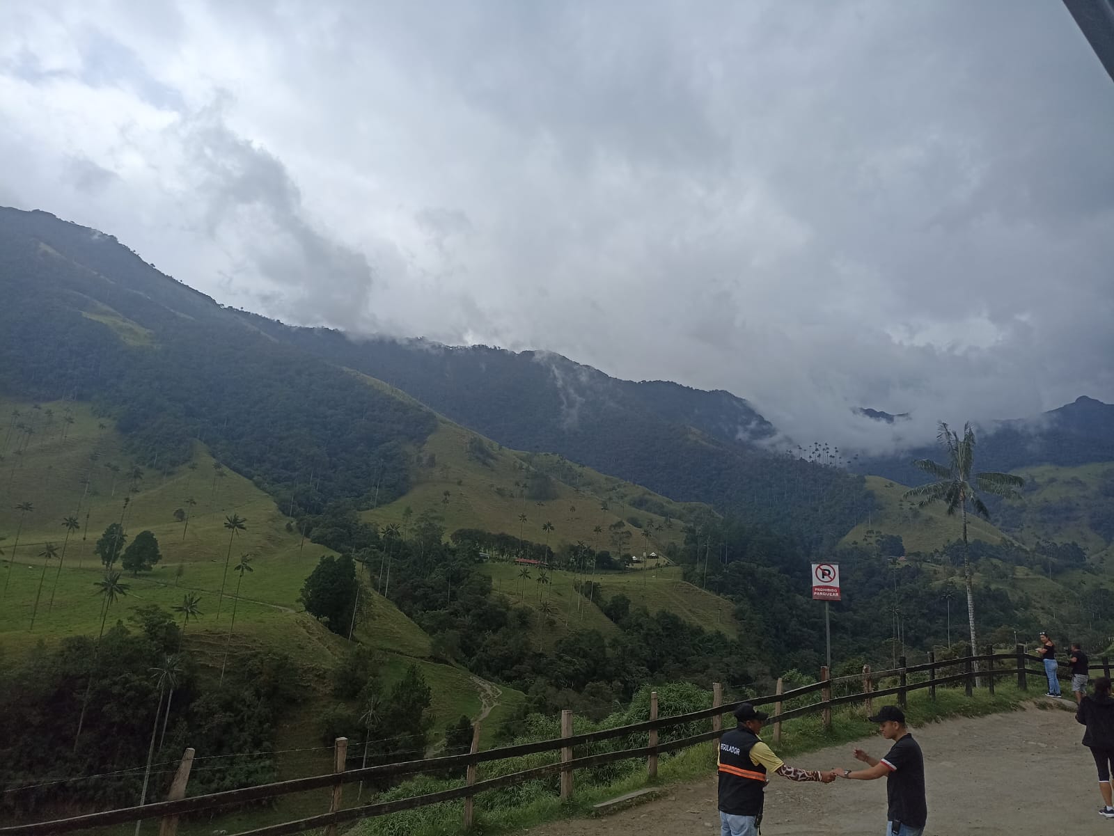 Hermoso el Valle de Cocora de Salento, Quindío Foto Adrián Trejos