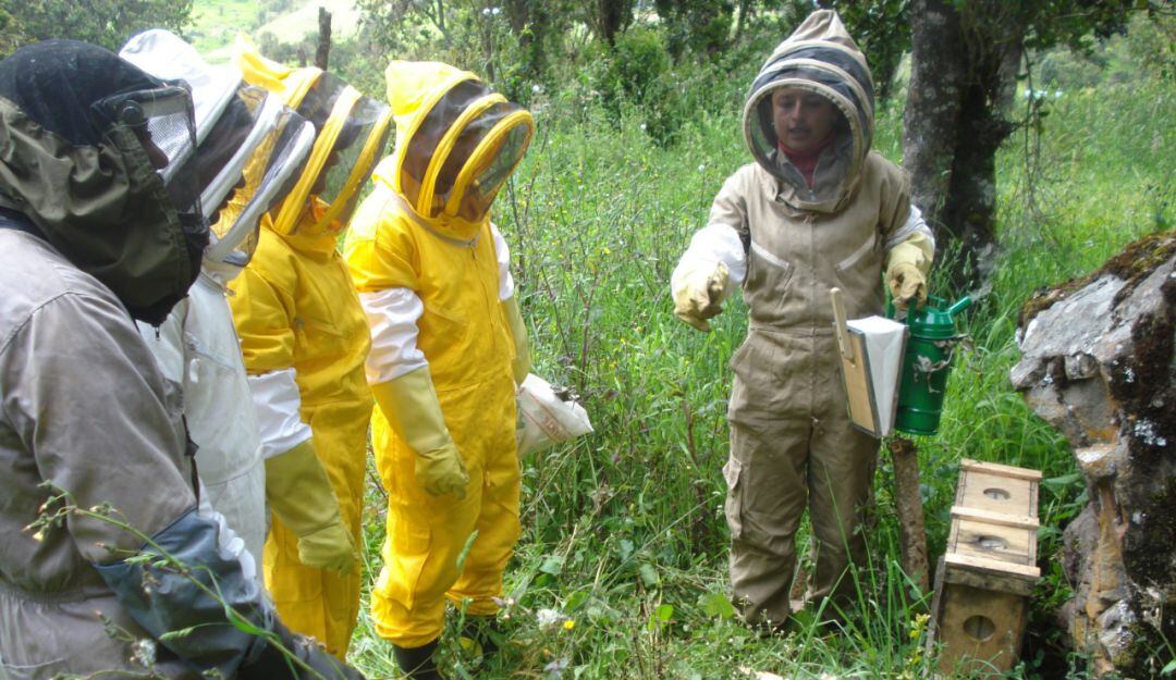 Imagen de referencia