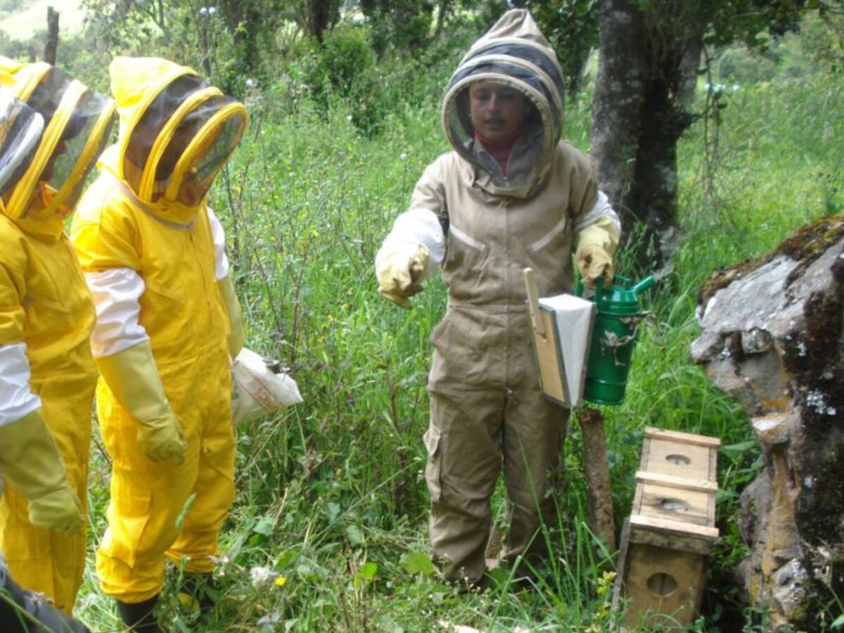 Se acerca encuentro internacional en defensa de los polinizadores