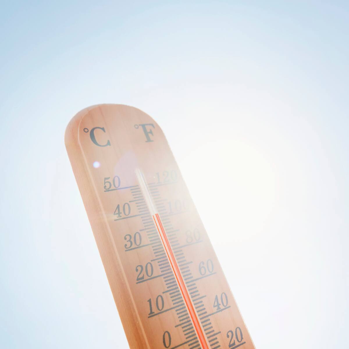 OMM: febrero fue un mes de calor excesivo en los hemisferios sur y norte