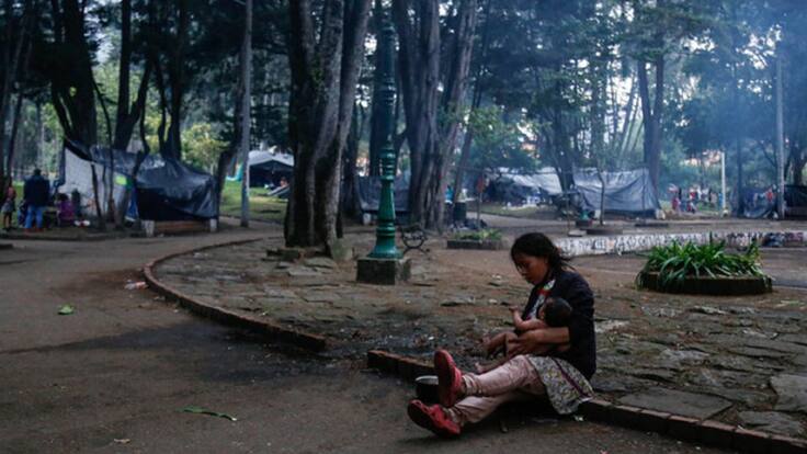 "Hay intereses políticos que se han involucrado en la crisis humanitaria"