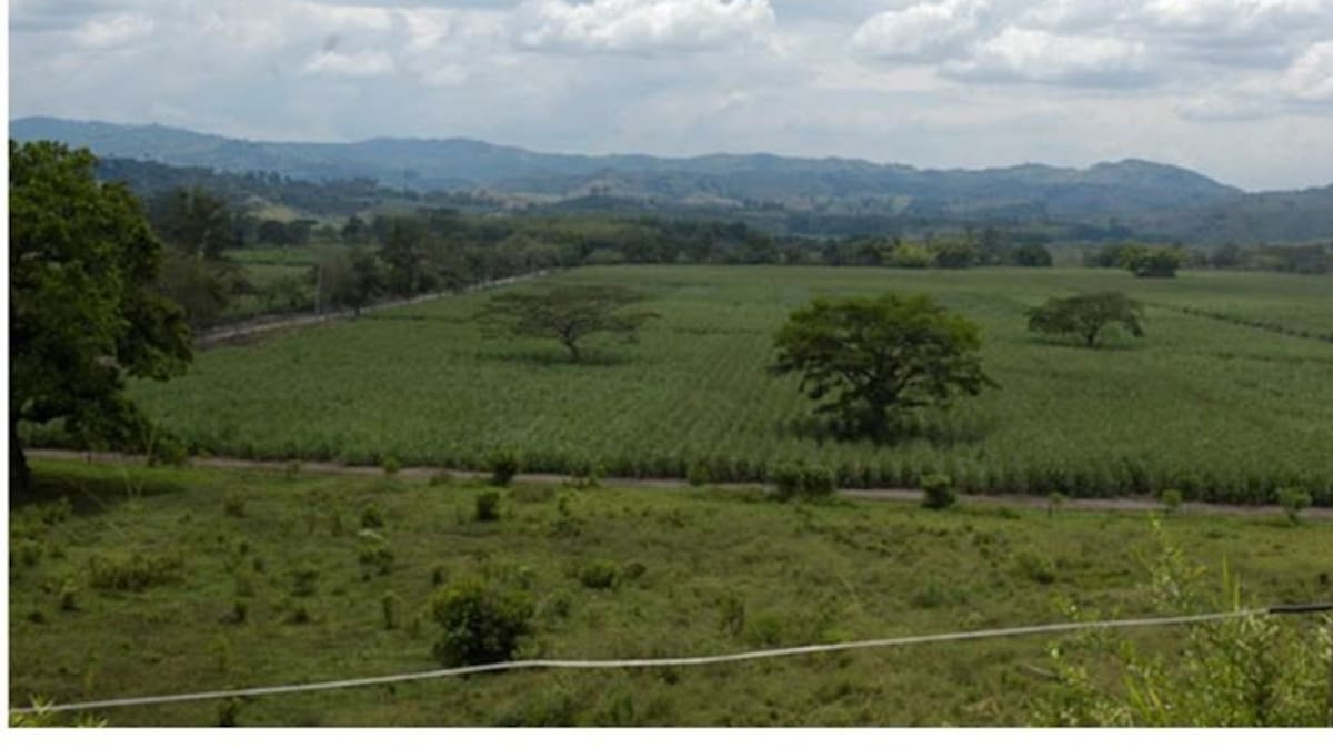 Diego Trujillo y el fallo sobre la hacienda Pisamal en Quindío
