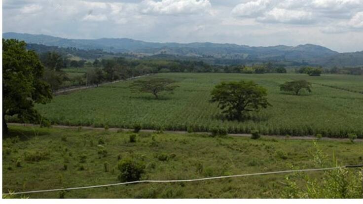Diego Trujillo y el fallo sobre la hacienda Pisamal en Quindío