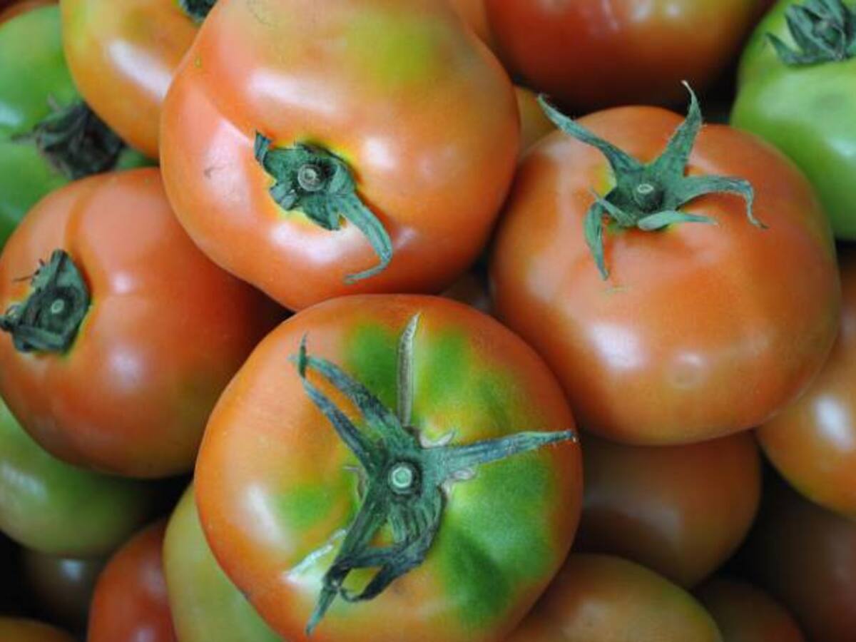 Vamos a mercar: lo más barato y en cosecha