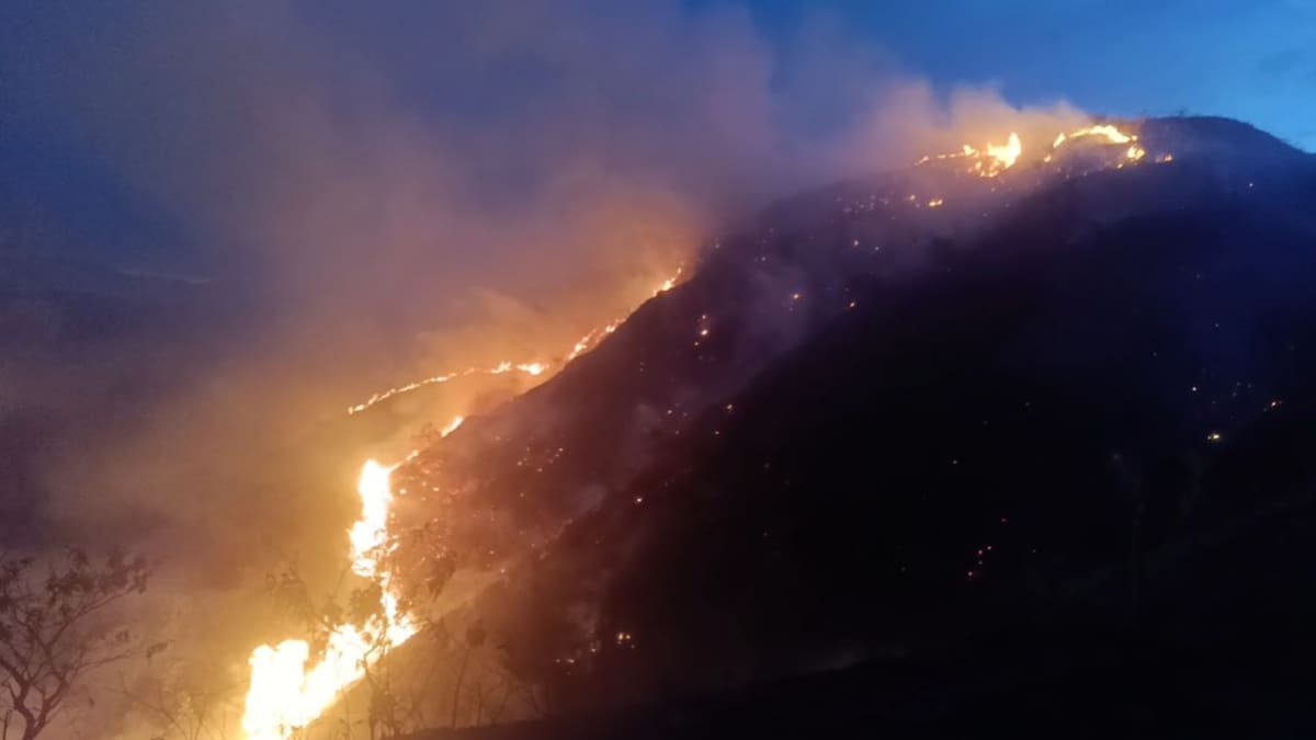 Incendio forestal mantiene en alerta a Ábrego, Norte de Santander