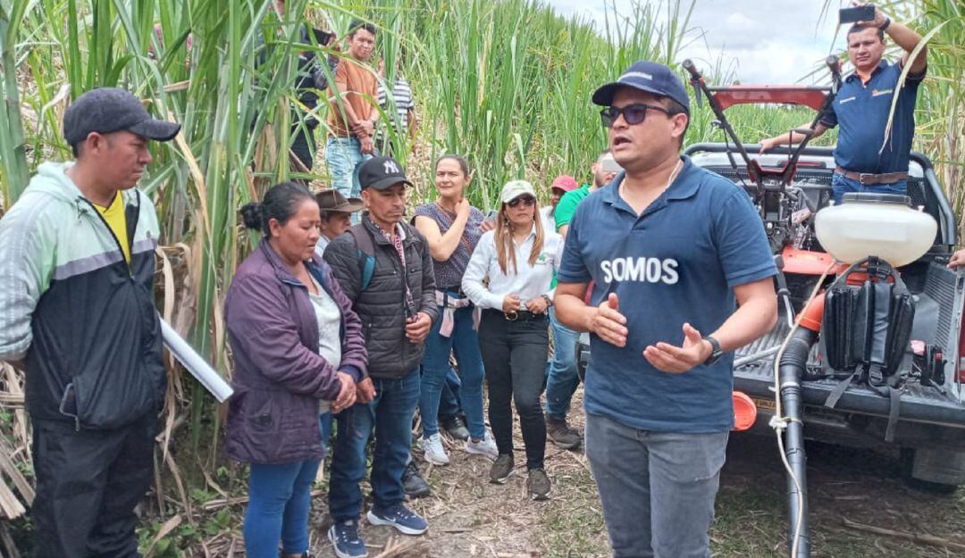 Cerca de 1200 toneladas mensuales produce el gremio de paneleros del sur del Huila.