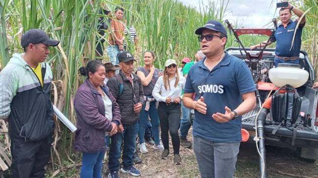 Cerca de 1200 toneladas mensuales produce el gremio de paneleros del sur del Huila.