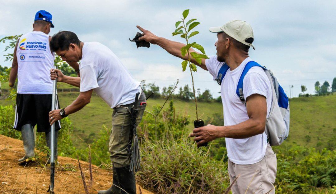 Jornada de siembra en el antiguo ETCR Los Monos