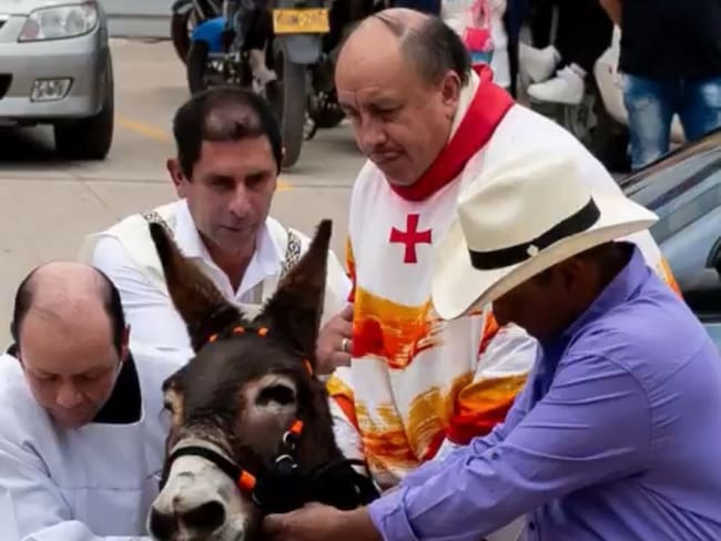 Caso de maltrato animal en iglesia de Zipaquirá. Foto: Captura de pantalla de video de Plataforma Alto.