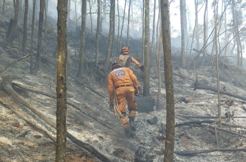 Más de 18 horas completan los trabajos en el incendio de cobertura vegetal del oriente de Medellín/ Foto: Cortesía