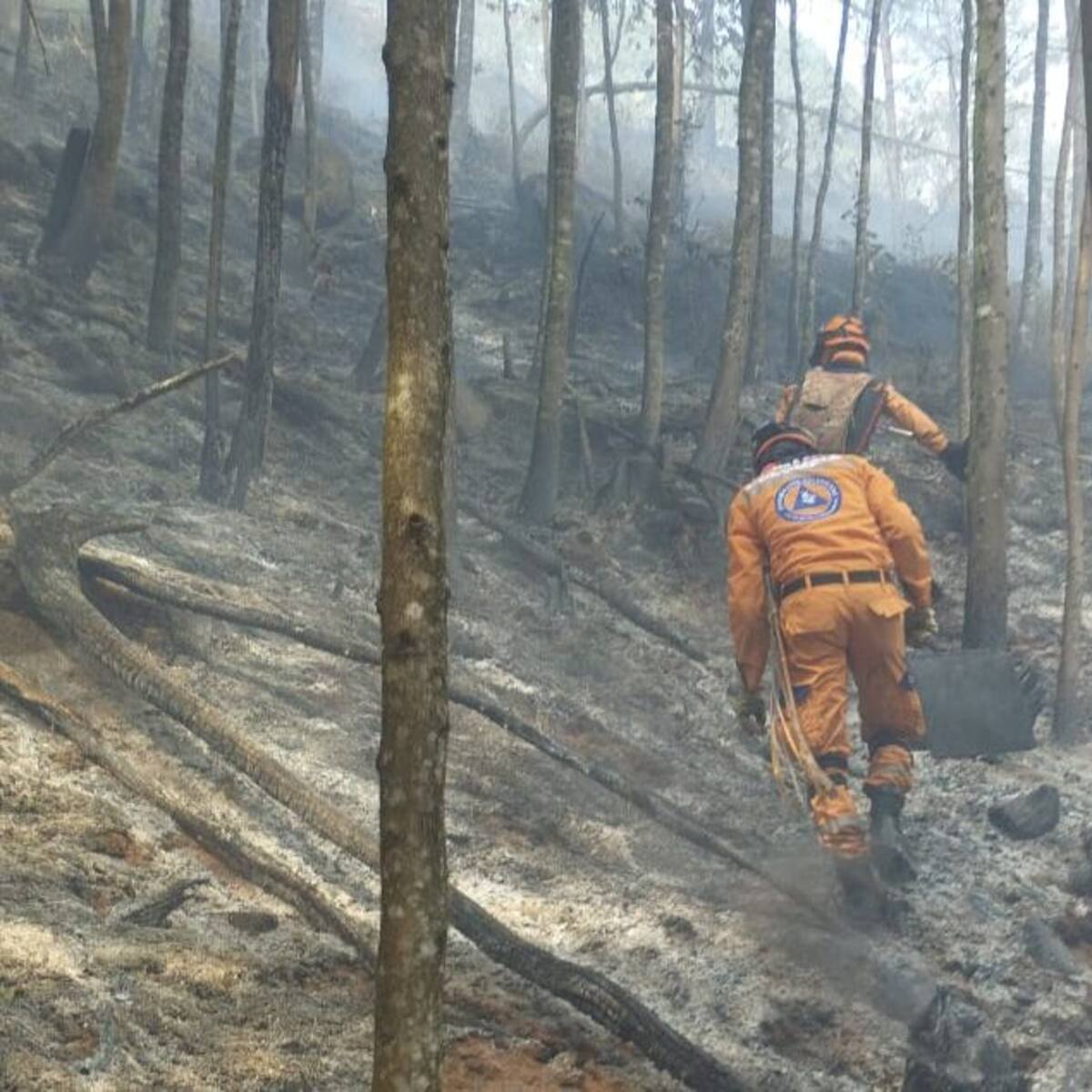 18 horas llevan los trabajos en el incendio de cobertura vegetal del oriente de Medellín