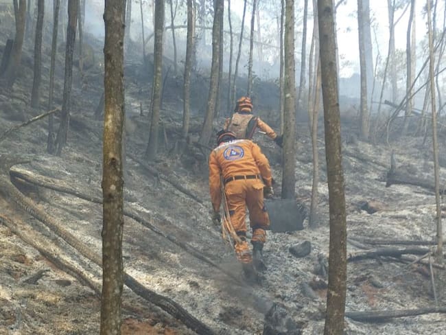 Más de 18 horas completan los trabajos en el incendio de cobertura vegetal del oriente de Medellín/ Foto: Cortesía