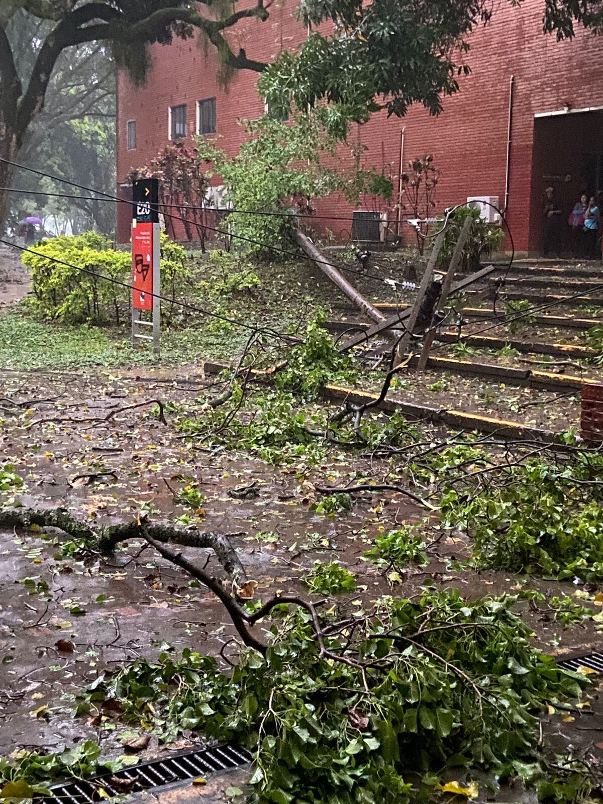 Las fuertes lluvias caidas al sur de Cali en la tarde de este viernes, causó la caída de varias árboles al interior de la Universidad del Valle, sede Meléndez
