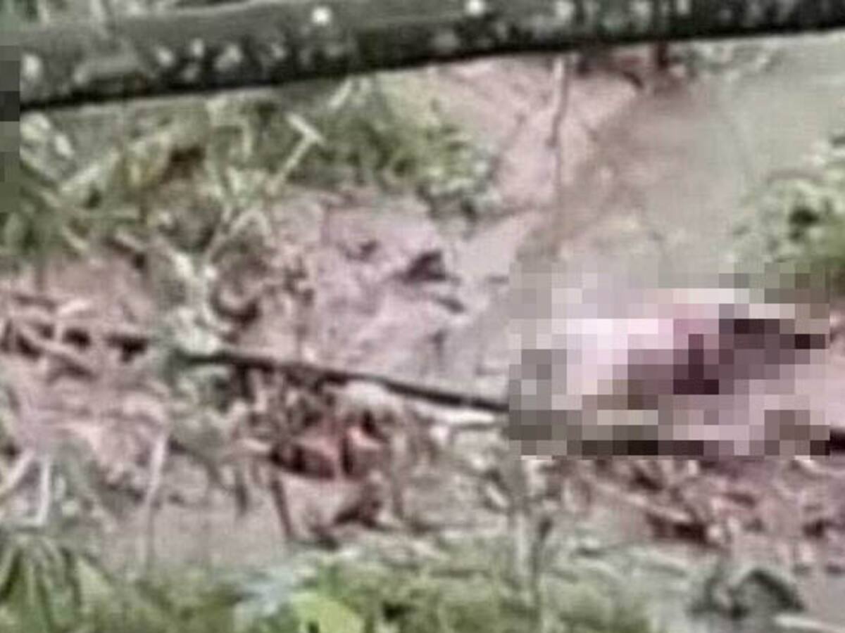 Fue hallado cuerpo sin vida de una mujer en zona boscosa en La Tebaida