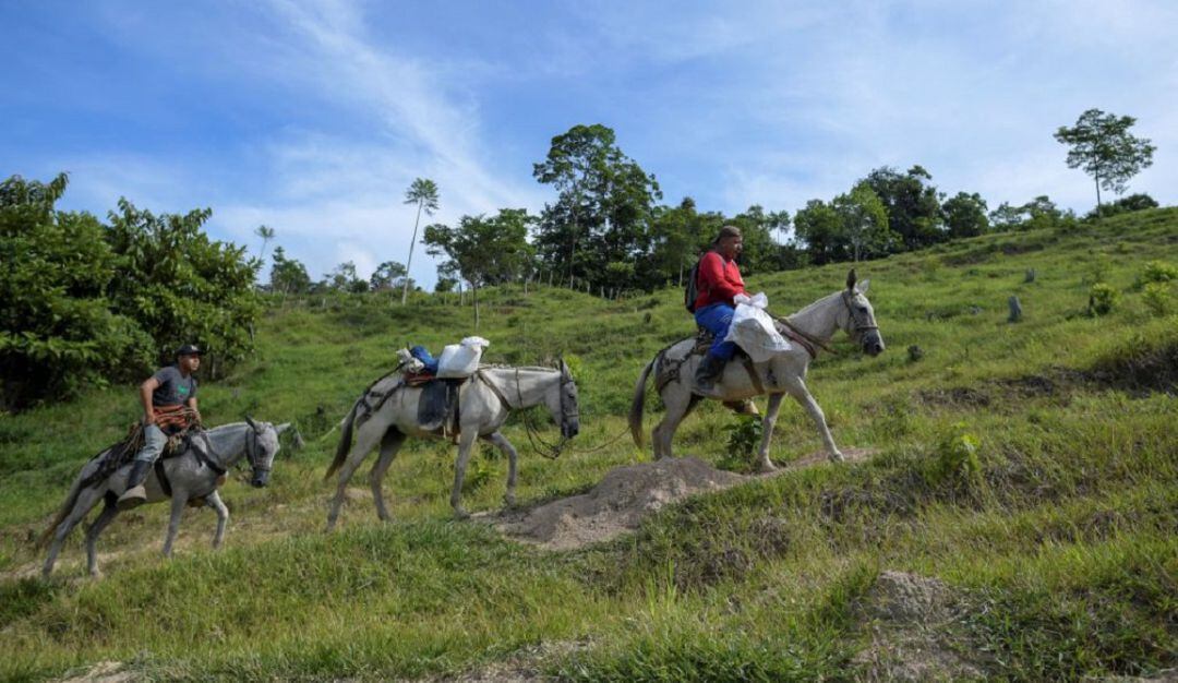 Campesinos de la región del Catatumbo. Imagen de referencia