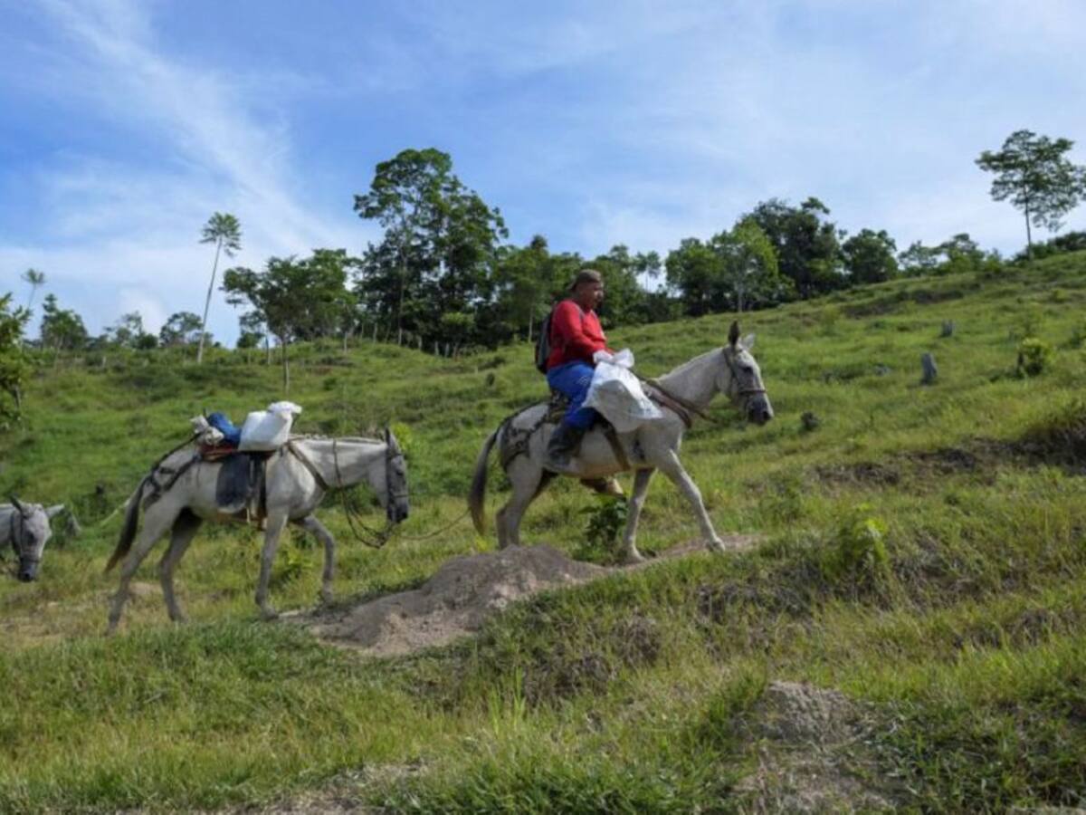 Abren convocatoria para fortalecer PDET en tres subregiones colombianas