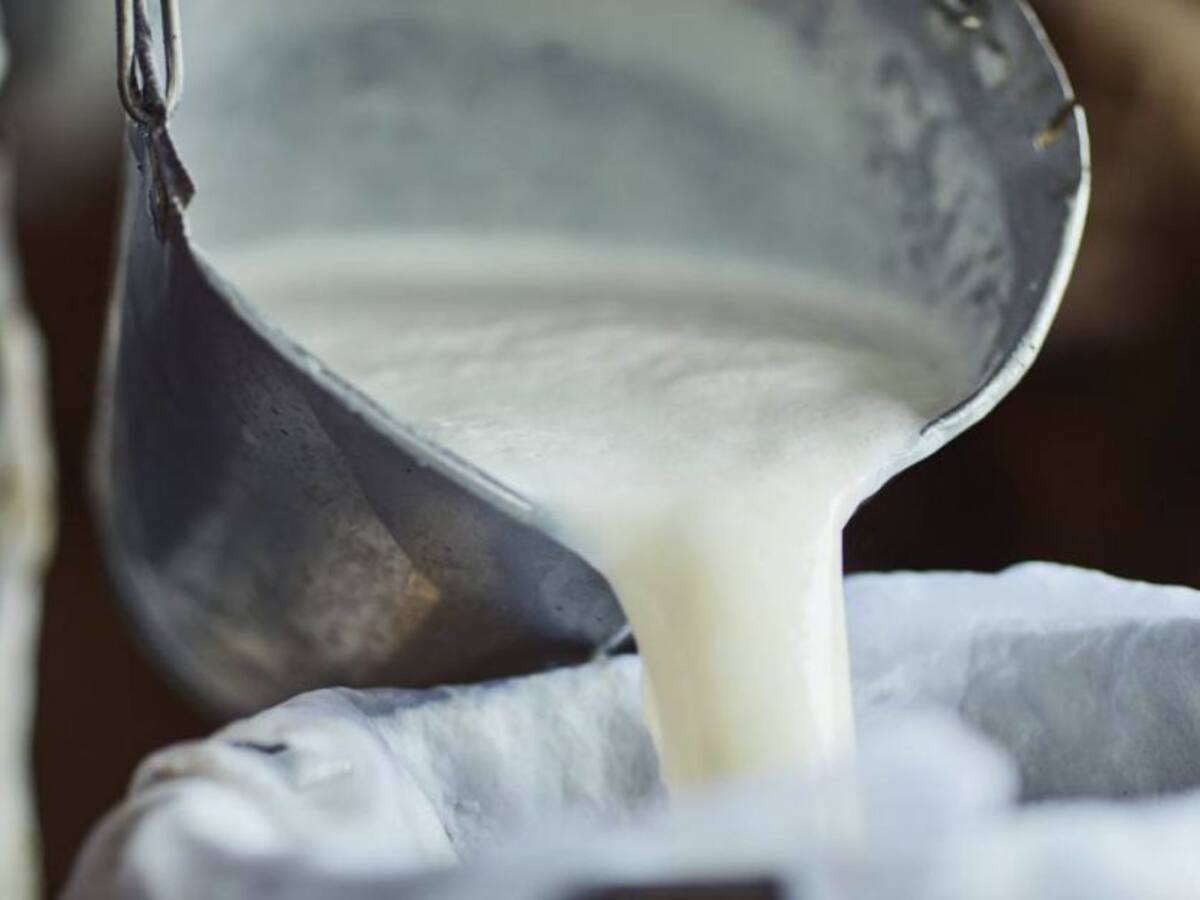 ¿En cuánto ha disminuido la producción de leche en el Quindío debido a las lluvias?